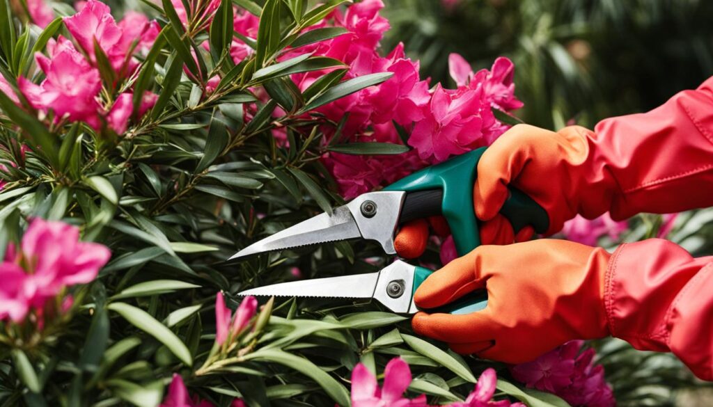 Schneiden des Oleanders